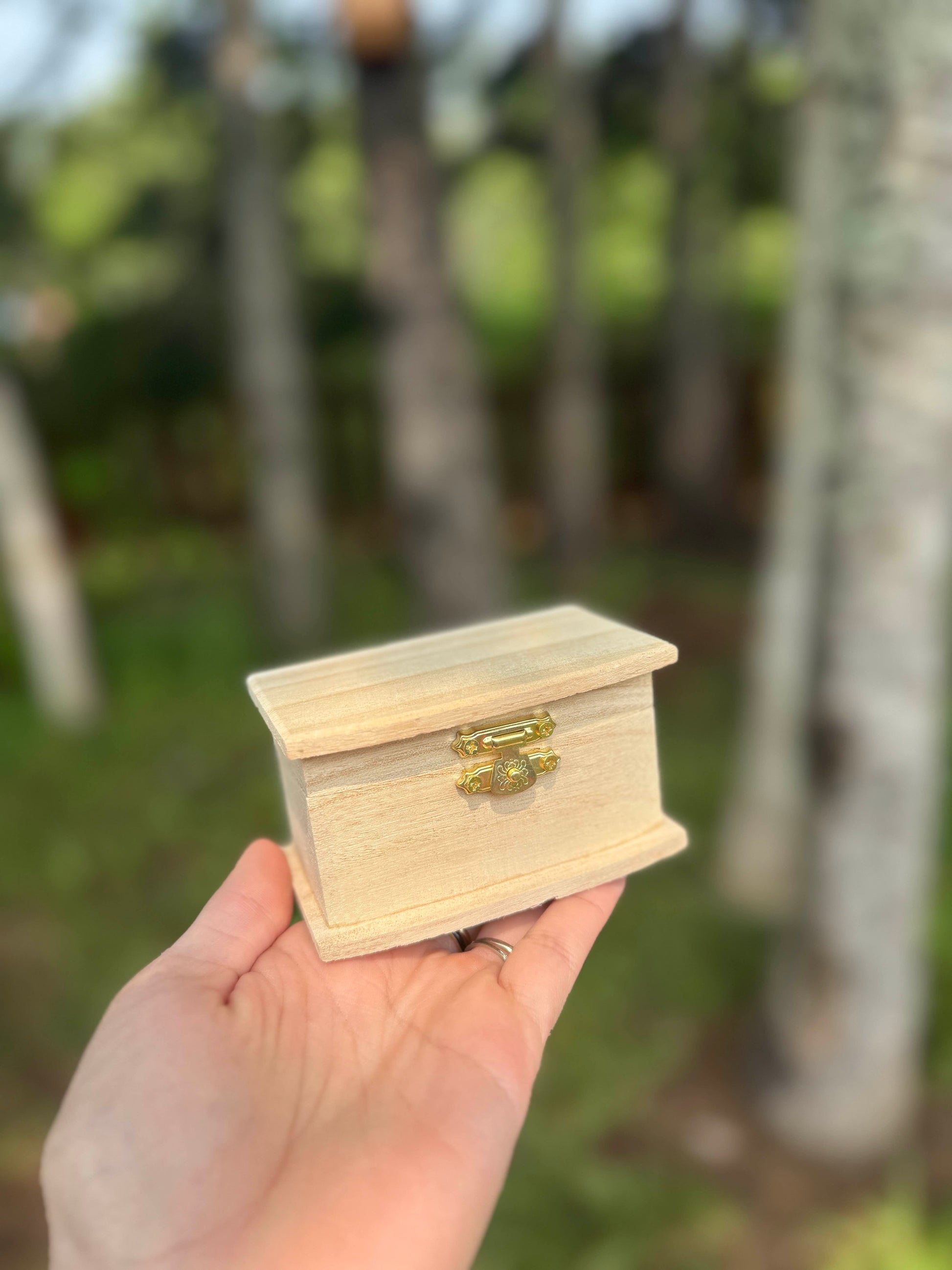 Pine Sentiment Box