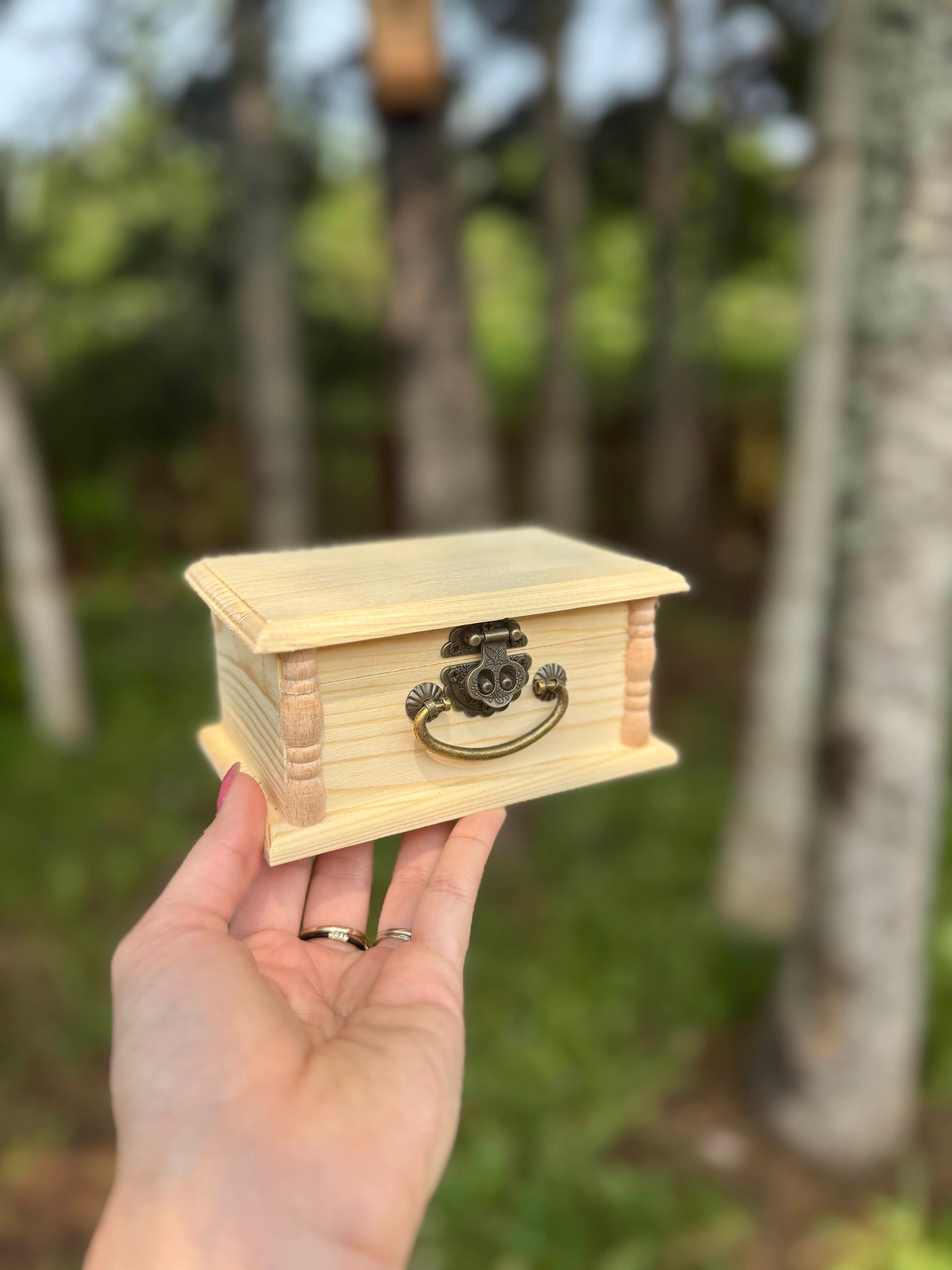 Pine Sentiment Box Lg