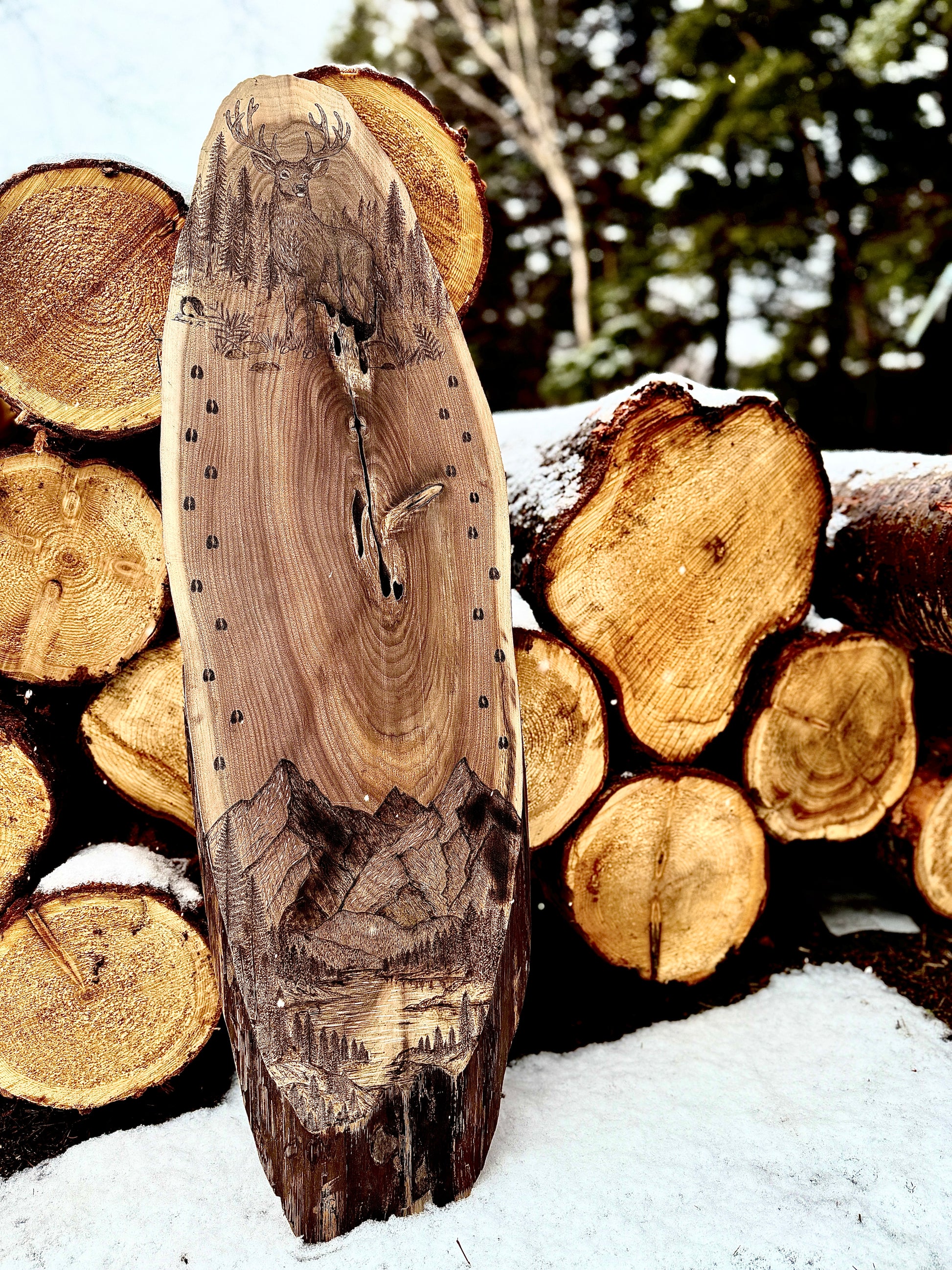 Oh Deer - European Mount